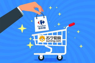 家樂福中國潛在股權投資意向書 戰略藍圖與風險前瞻