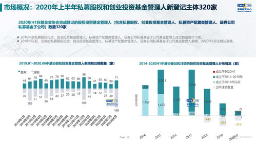 2020上半年中國(guó)股權(quán)投資市場(chǎng)回顧與展望 融資咨詢服務(wù)的新變局與新機(jī)遇
